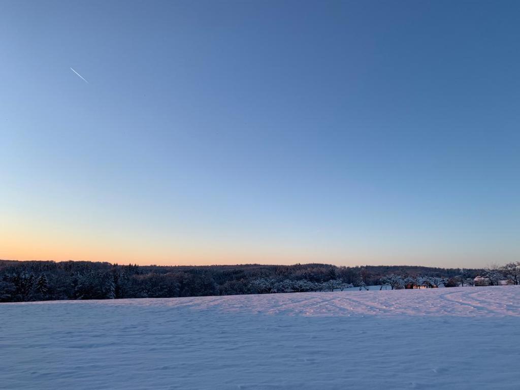 Modernes Ferienhaus Im Schwarzwald Freiamt Eksteriør bilde